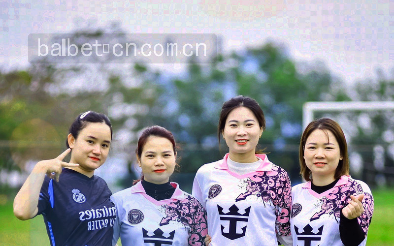 球场视觉与数据图表重叠，呈现体育赛事数据服务的历史积淀